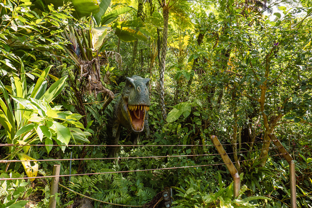 DINO恐龍PARK 暴龍三角龍恐龍模型