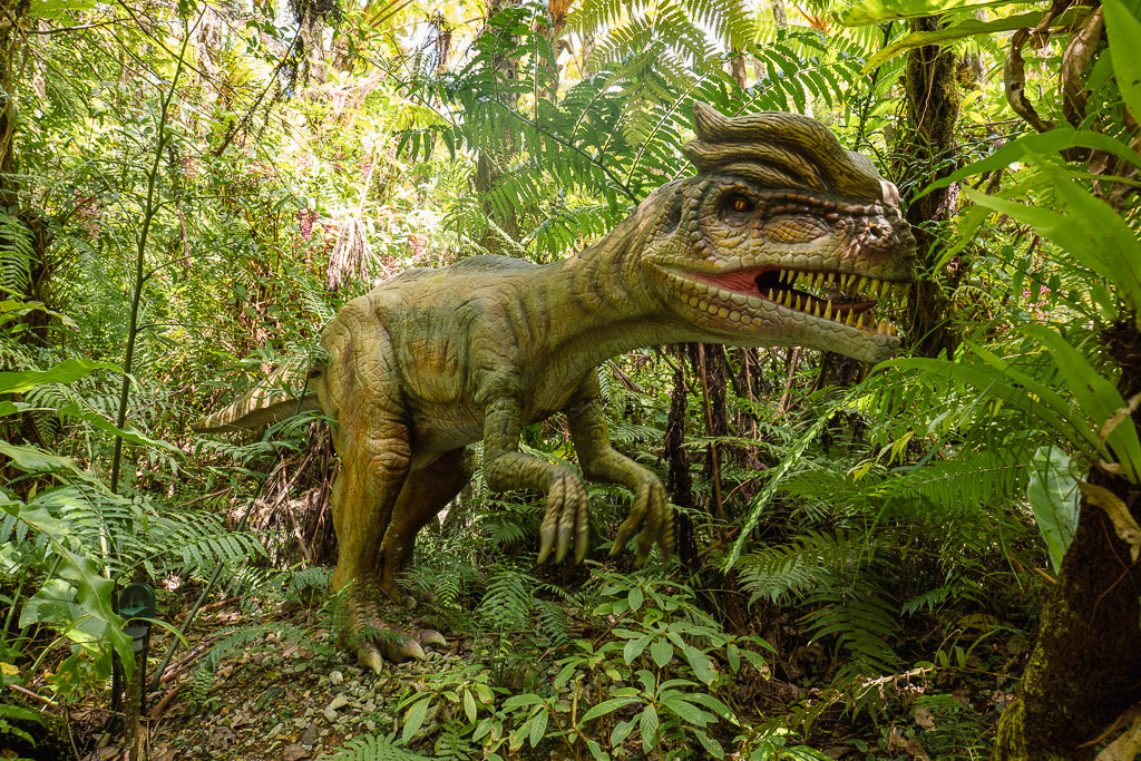 DINO恐龍PARK 沿途亞熱帶植物景觀