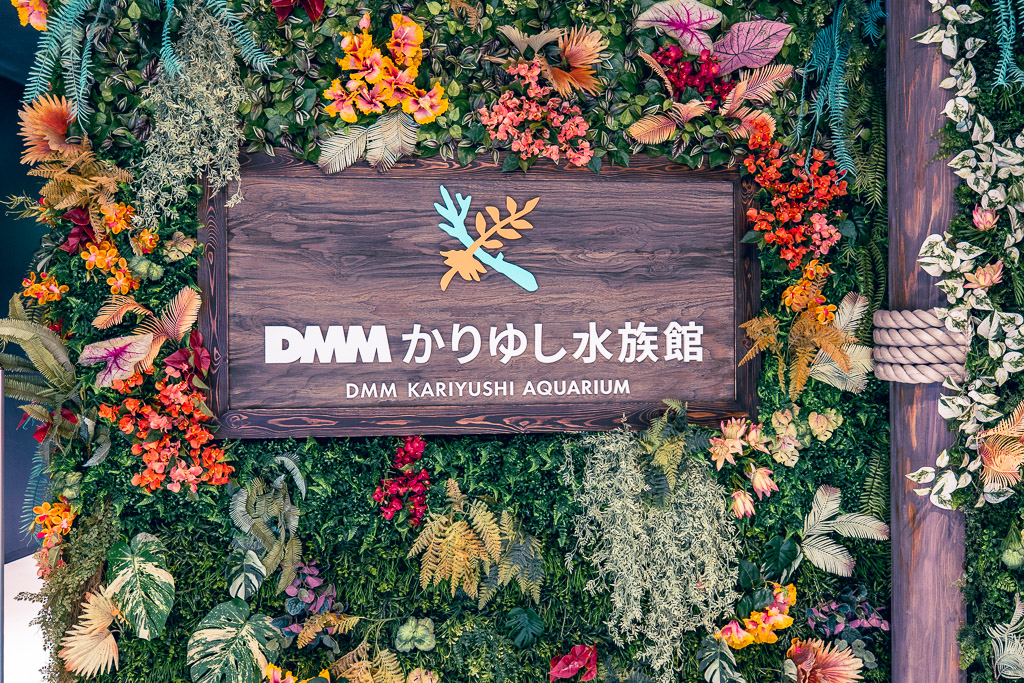 DMM水族館花草拍照打卡區