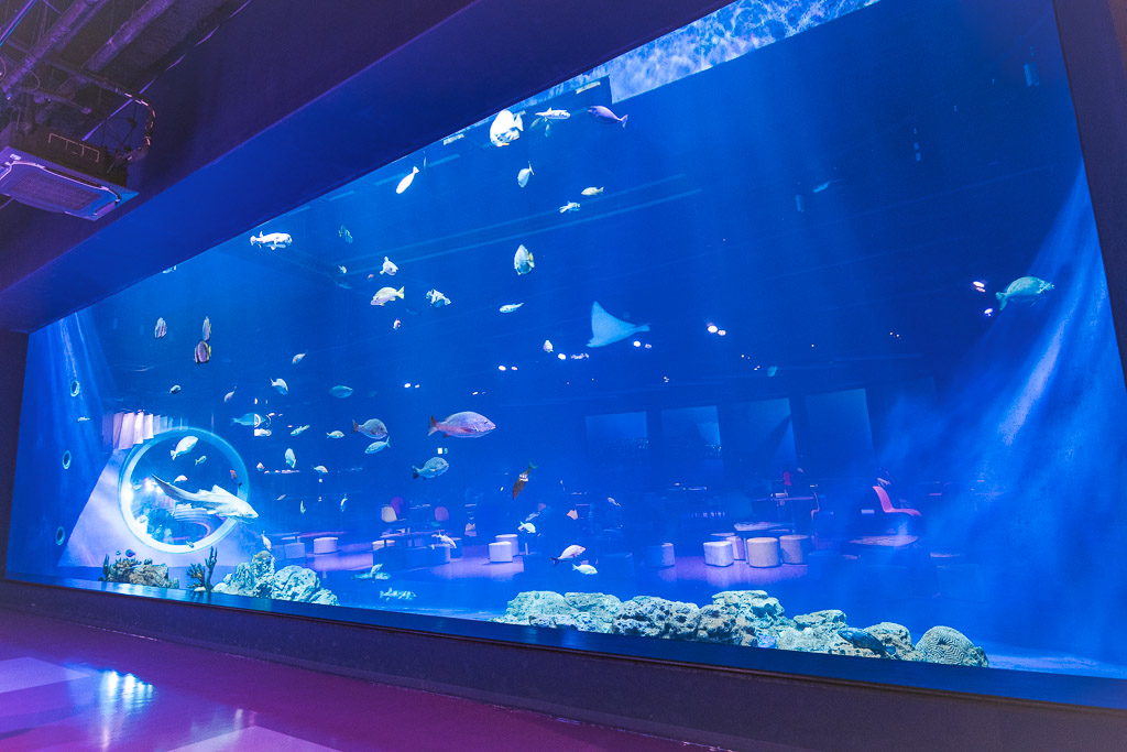 主水槽，魟魚與多樣魚群
