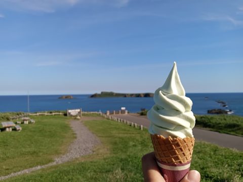 北海道美瑛富良野牧場霜淇淋