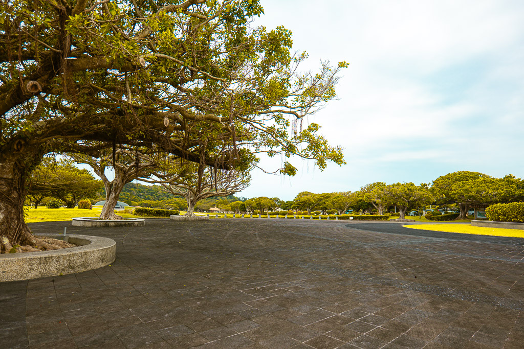 和平祈念公園榕樹廣場 — 大型老樹與石材廣場風景