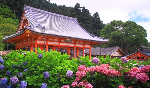 勝尾寺境內滿滿的達摩