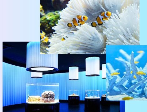NIFREL 水族館內部