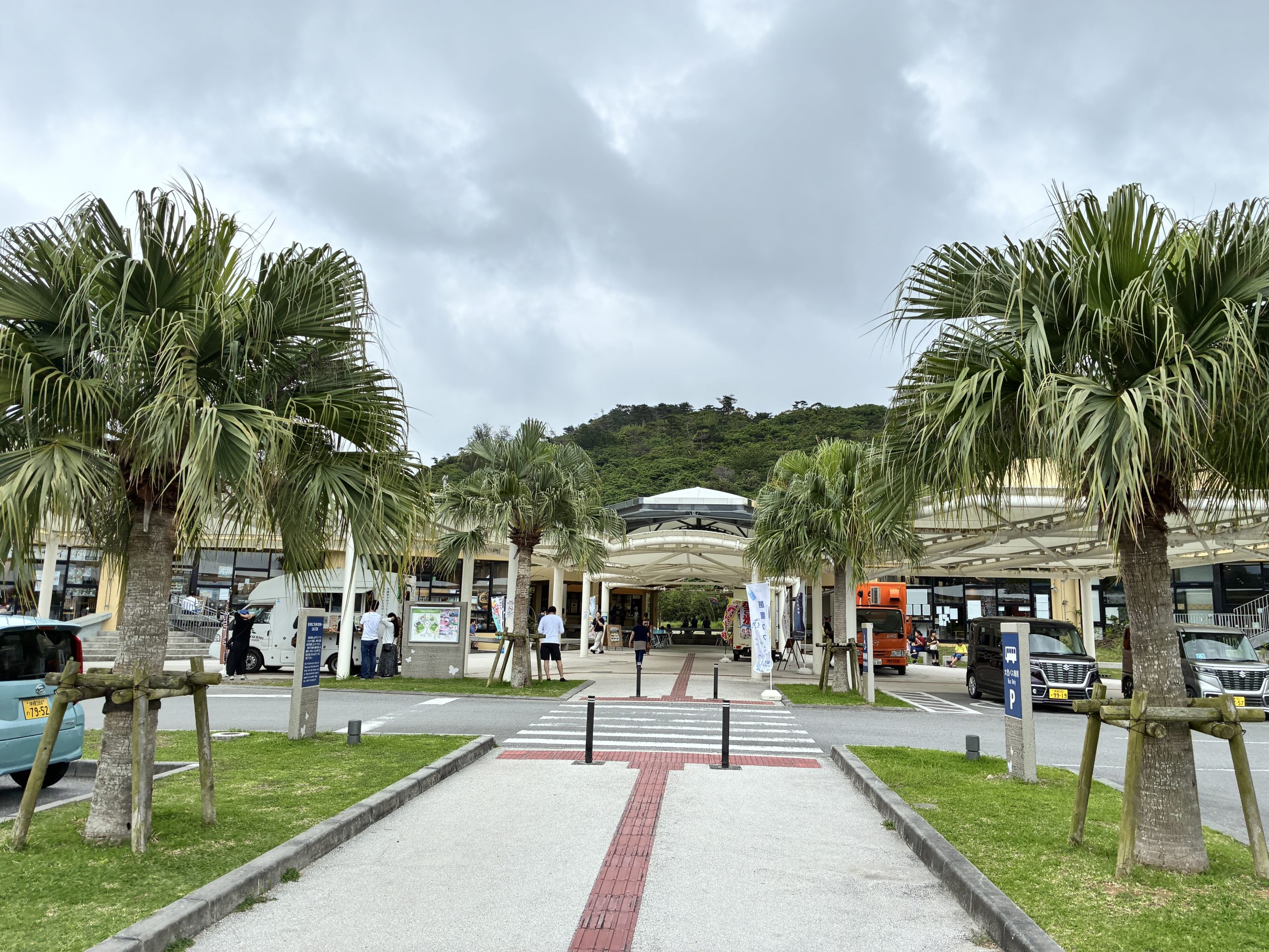 沖繩梅雨季陰天｜公路休息站椰子樹景觀