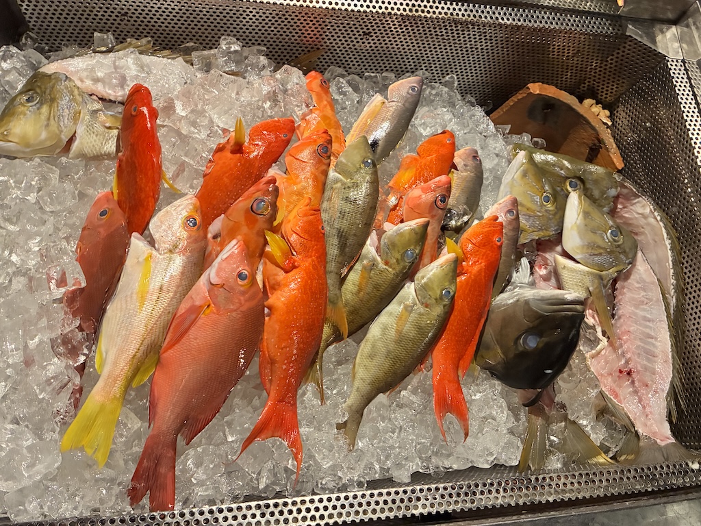 居酒屋裡擺滿新鮮赤點石斑等沖繩海魚——用日本eSIM在Google Maps找隱藏版海鮮居酒屋