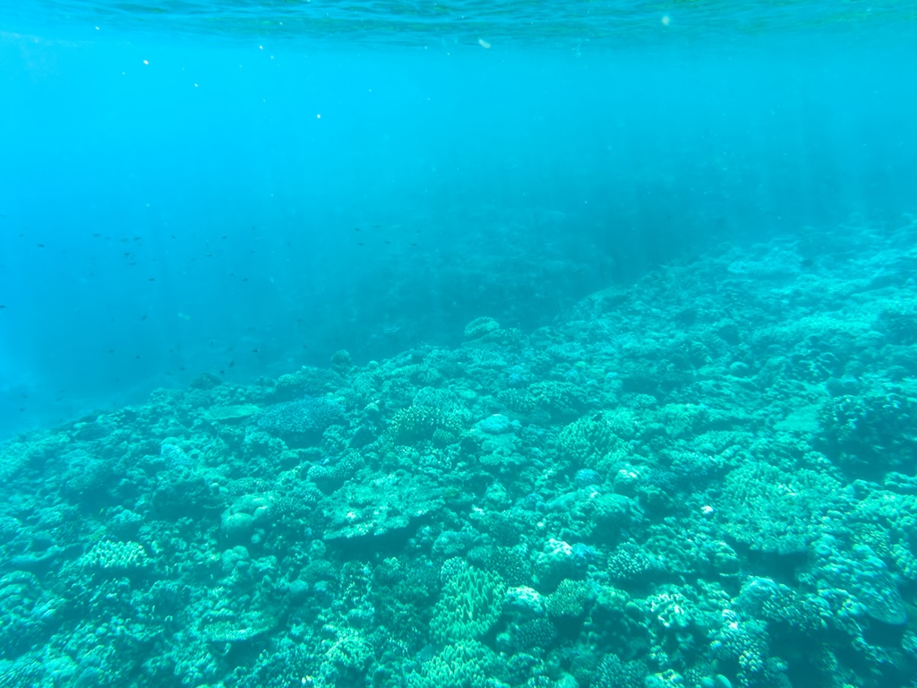 水納島水中珊瑚礁風景 — 透明海水中綿延的珊瑚群與光線穿透