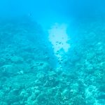 沖繩水納島浮潛全攻略｜渡久地港交通・集合時間・免費停車・100圓投幣式淋浴一次搞懂