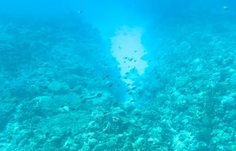 沖繩水納島浮潛全攻略｜渡久地港交通・集合時間・免費停車・100圓投幣式淋浴一次搞懂