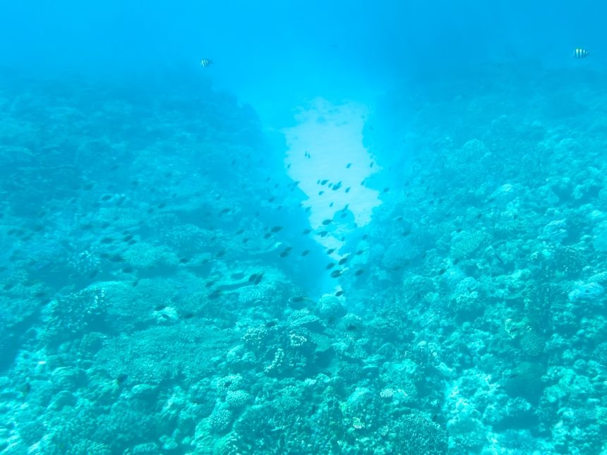 沖繩水納島浮潛全攻略｜渡久地港交通・集合時間・免費停車・100圓投幣式淋浴一次搞懂