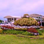 沖繩海洋博公園攻略｜美麗海水族館外的免費海豚秀、海牛、海龜、翡翠海灘全攻略