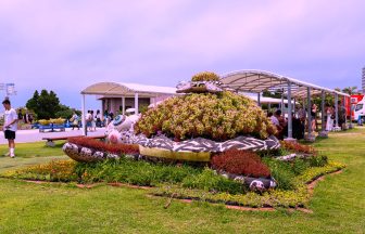 沖繩海洋博公園攻略｜美麗海水族館外的免費海豚秀、海牛、海龜、翡翠海灘全攻略