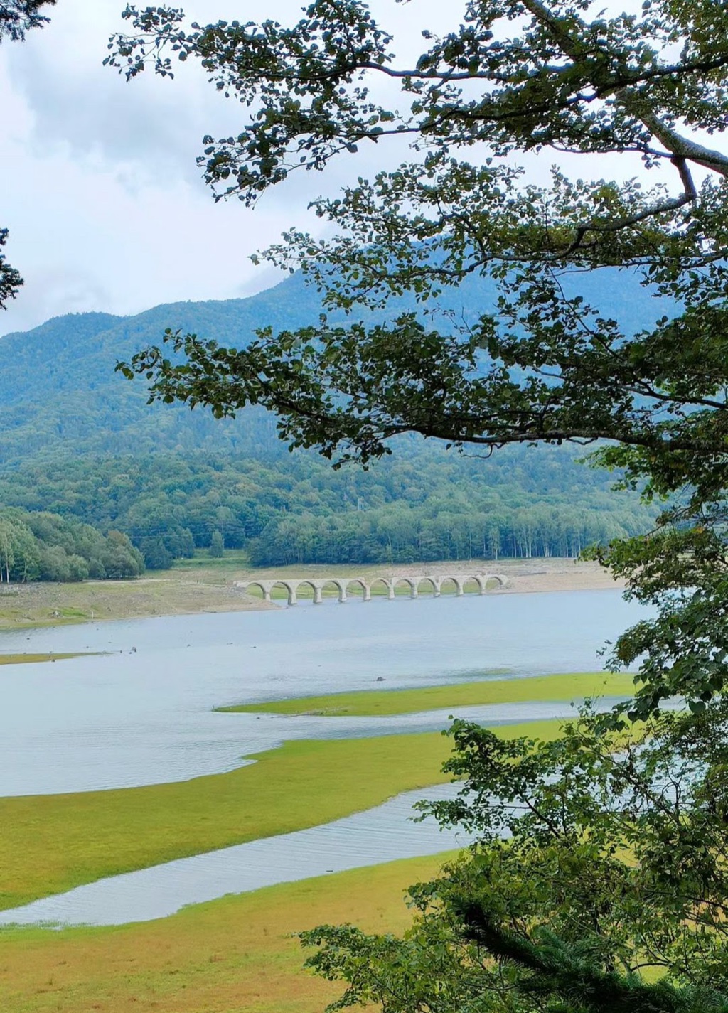 TAUSYUBETSU川橋梁 — 八月從糠平湖浮現的混凝土拱橋