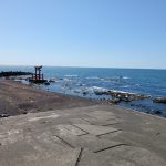 北海道八月天氣完整攻略｜氣溫・穿搭・台灣比較・禮文島賞花・幻之橋・自駕指南