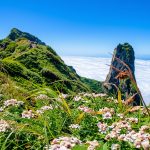北海道七月天氣完整攻略｜氣溫・穿搭・台灣比較・薰衣草最盛期・知床・摩周湖・自駕指南