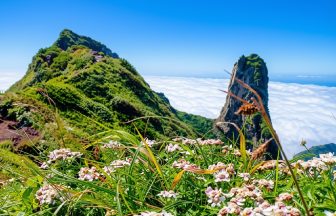 北海道七月天氣完整攻略｜氣溫・穿搭・台灣比較・薰衣草最盛期・知床・摩周湖・自駕指南