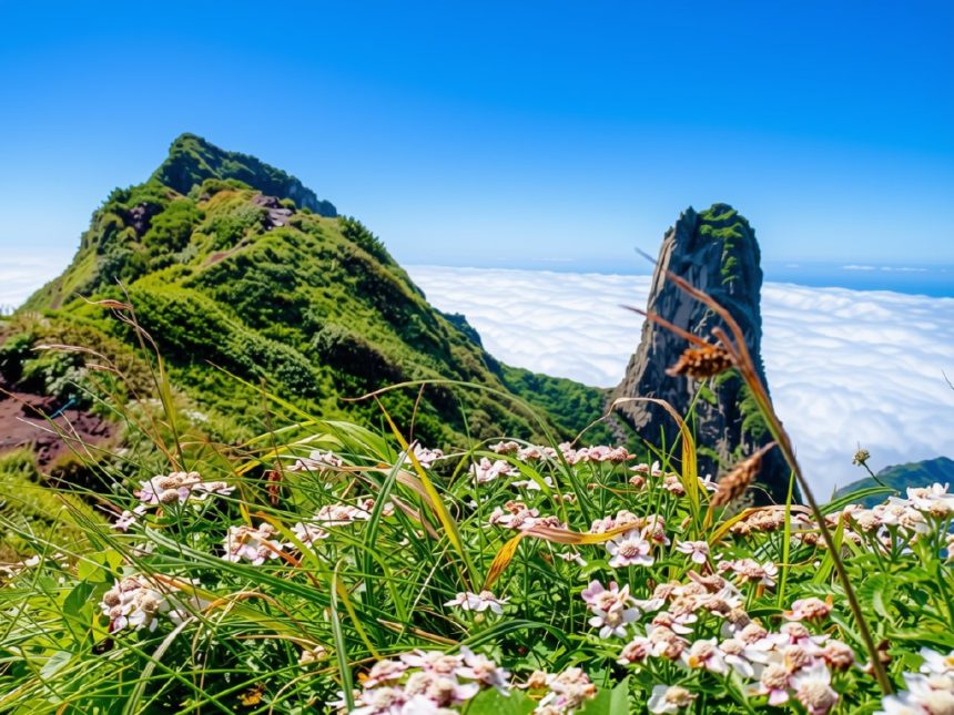 北海道七月天氣完整攻略｜氣溫・穿搭・台灣比較・薰衣草最盛期・知床・摩周湖・自駕指南