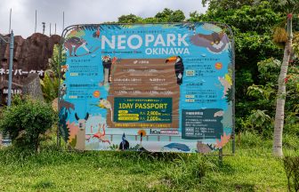 沖繩名護 Neo Park｜親子必訪！與鳥兒零距離互動、餵紅鶴、搭沖繩唯一小火車