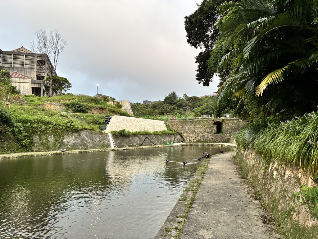 龍潭水池中悠游的水鴨與山丘上的首里城建築
