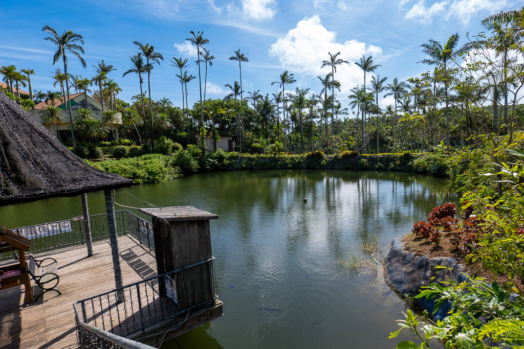 東南植物樂園伸入椰林水池的木製觀景平台