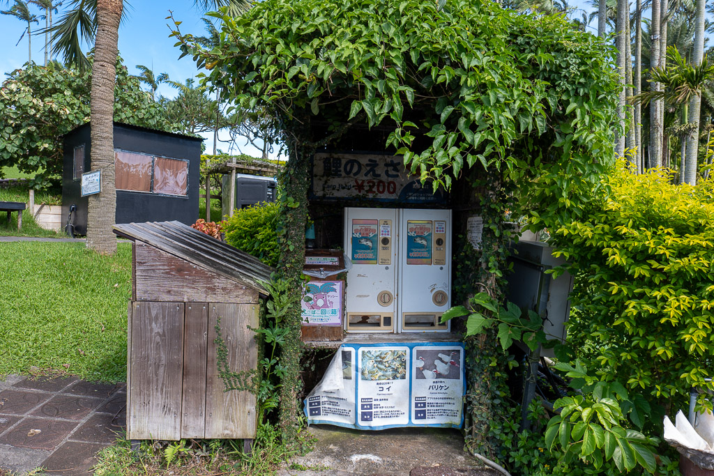 爬滿藤蔓的錦鯉飼料自動販賣機