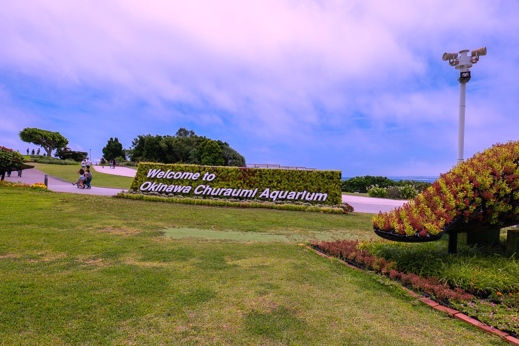 沖繩海洋博公園入口 Welcome to Okinawa Churaumi Aquarium 綠色植栽招牌