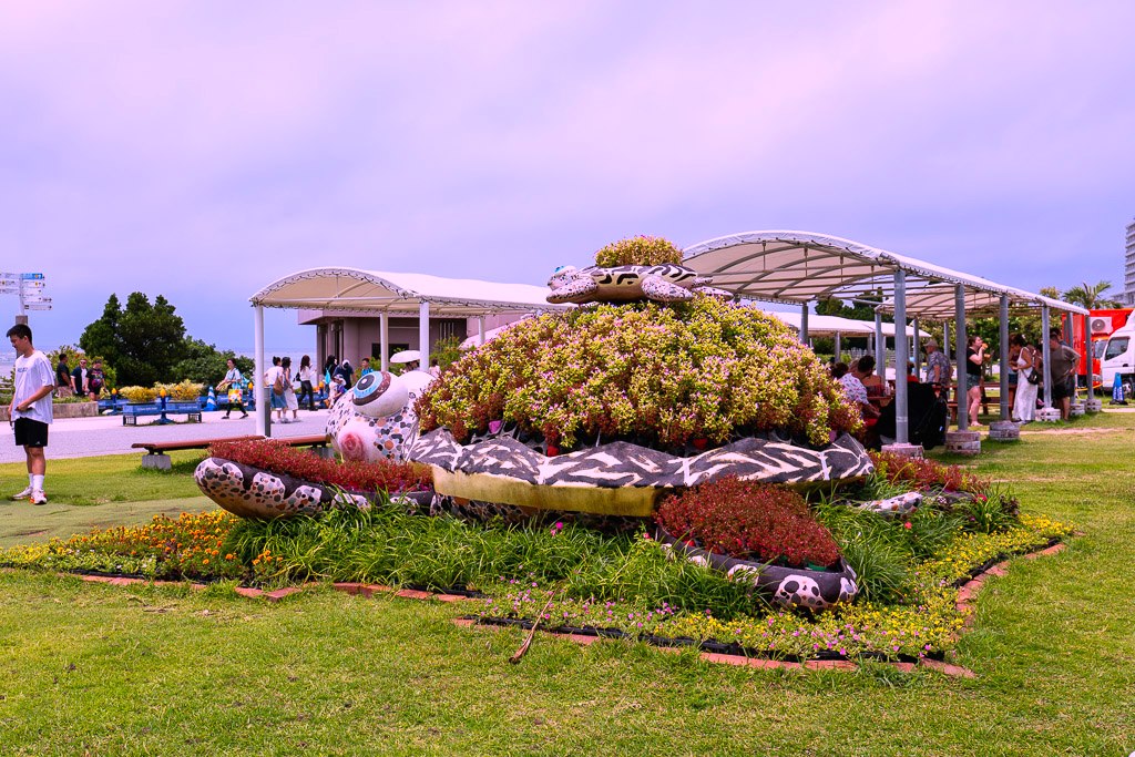 海洋博公園草地上的海龜造型花藝植栽