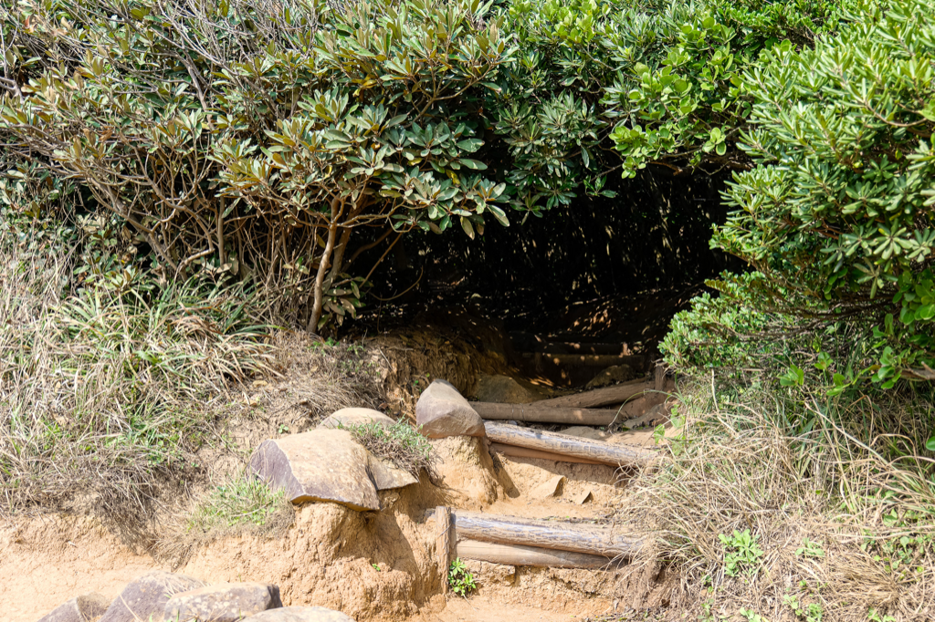 穿過小小的神社走向綠色隧道入口 — 糸島龍貓森林