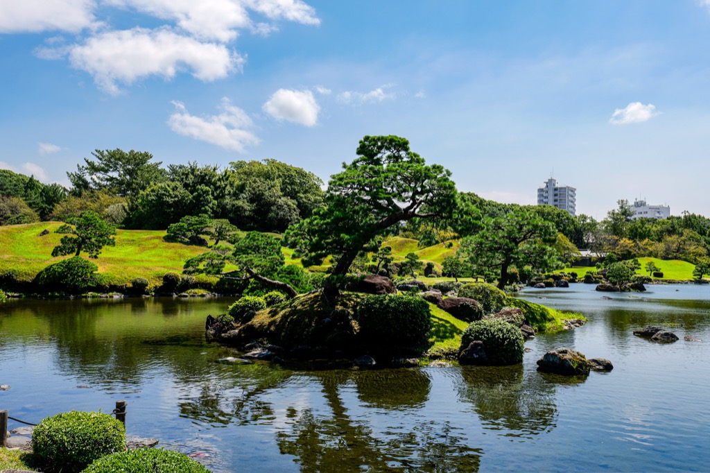 水前寺成趣園松樹步道