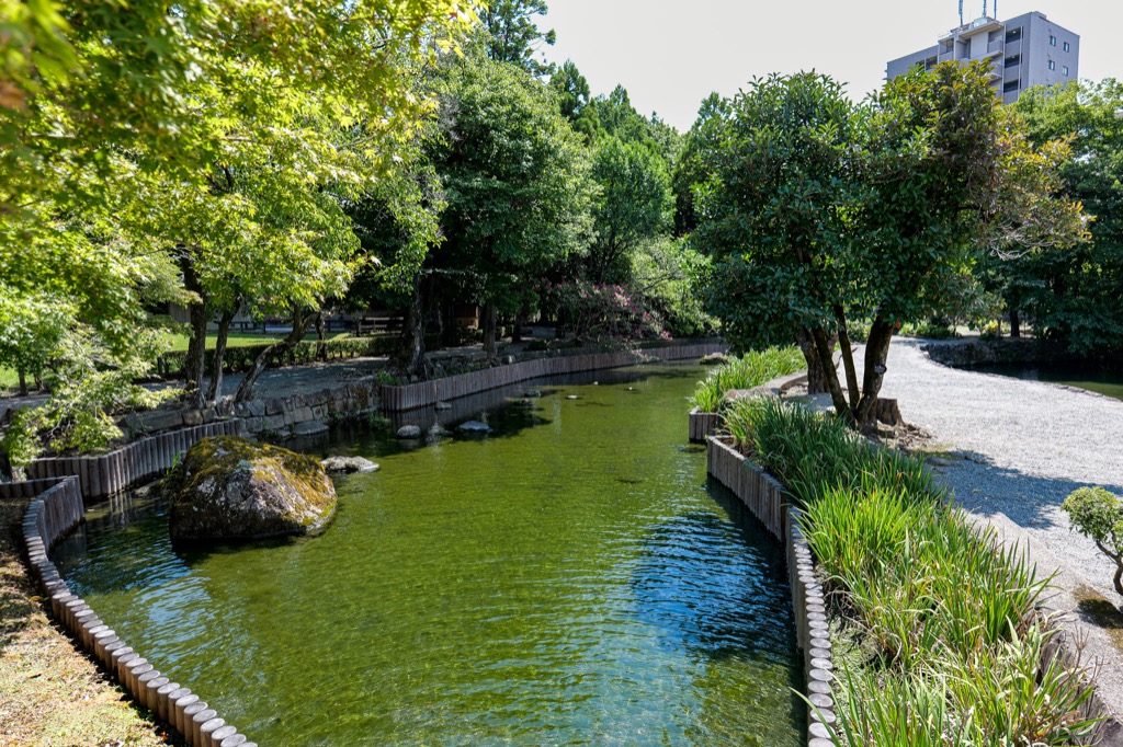 水前寺成趣園樹蔭步道旁的水道