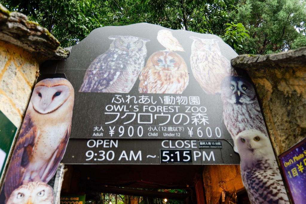 貓頭鷹森林入口 — 費用與營業時間看板