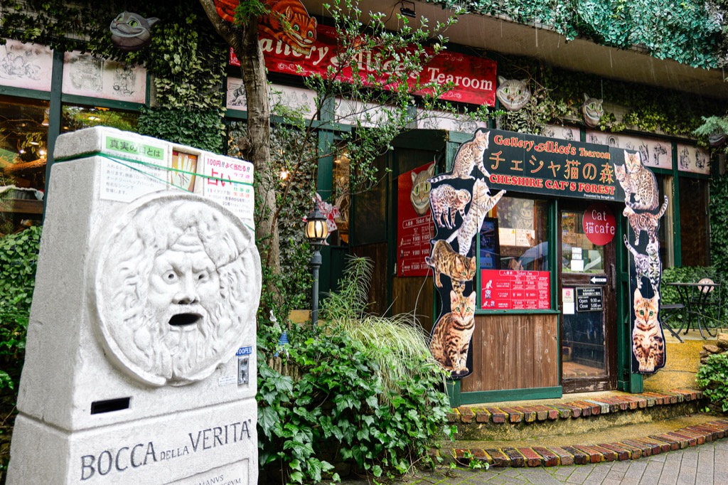 柴郡貓之森畫廊前 — 歐風石雕與童話風建築